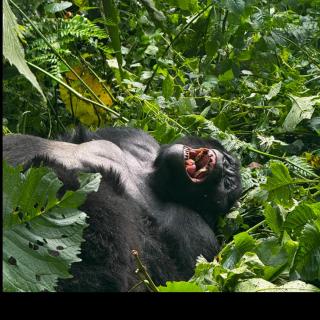 Turaco Trails Tours - 5