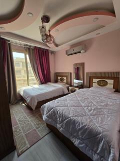 Cozy Furnished Apartment in B6 - 3