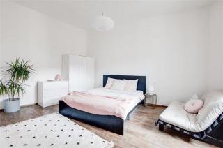 Beautiful apartment - 6