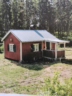 Enkel stuga mitt i skogen - 2