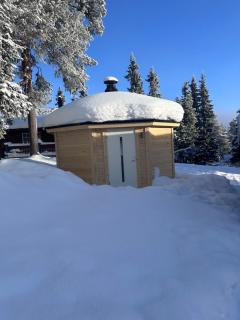 Dreamy Ski in Ski out Villa - 1