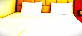 Hotel Dreamland In Mondarmoni - 7