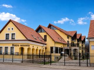 Pensiunea Casa Saxonia - 4