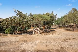 Caseta Curto - 5