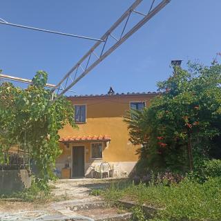 Casa di Barignano - 9