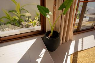 Villa Malkia Private Pool 1BR Paje - 6