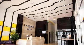 Lavande Hotel Leshan High-Speed Rail Station Wanda Plaza Branch - 8