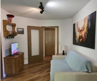 FeWo Schwarzwaldglück Todtmoos mit Sauna, Tischtennis, Fitness, Stellplätzen - 9