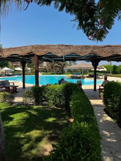 Modern Studio Pools Rooftop in Nabq bay - 3