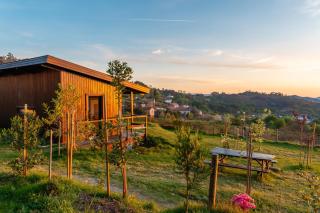Refúgio na vinha com piscina privada - VirguWines - 3