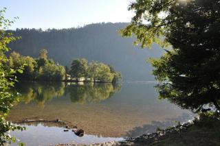 Chalet Le Pin à 2 pas de GERARDMER, dans la vallée des lacs - 3