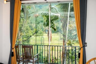 Rainforest canopy - Sinharaja - 1