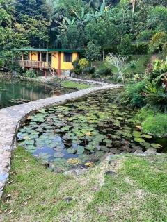 Nancys Fishpond Cabin - 1
