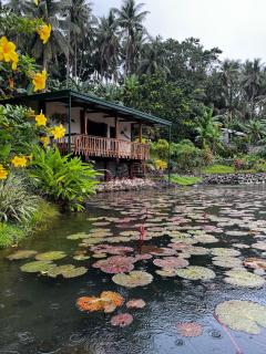 Nancys Fishpond Cabin - 6
