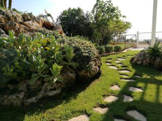 La scogliera - 2