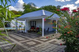 Westwood - Pool and Tropical Garden - 5