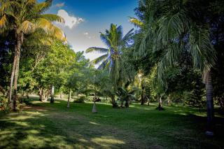 Westwood - Pool and Tropical Garden - 2