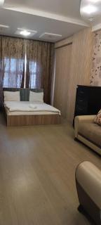 VIP Home Victoria in Nizami - 8