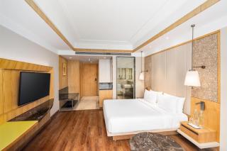 Radisson Bhopal - 8