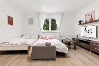 AG Cozy Apartment near Stadium with self check in - 8