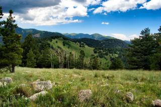 Pinon Park A2 - 9