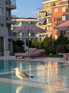 Apartment near the sea at Jadore Secret Garden - 2