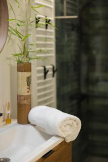Apartman Popovic - 9
