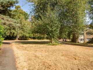 Pet Friendly House Close To Gatwick - 1