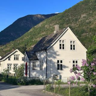 Charming house in the center of Lærdal - 0