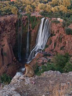Berber Home - 0