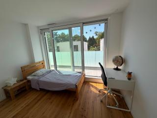 Modern house with private garden - 2