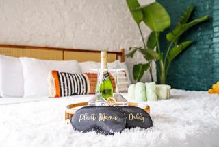 Jungle House Downtown Columbus - Modern Boutique Suites - 2