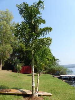 hodel's palm beach retreat - 4