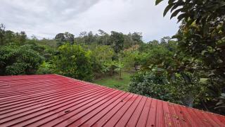 Greenhouse - 0