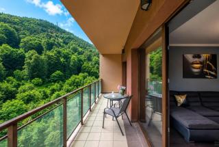 Tampa Gardens Apartments - Adults Only - 5