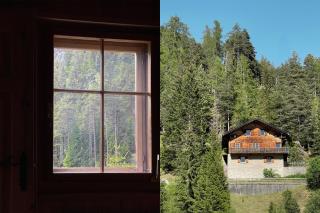 Chalet Waldfrieden - 9