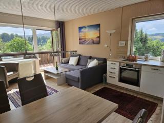 Holiday apartment right on Lake Hillebach with a balcony - 0