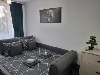 Aly Central Delux Apartment - 1