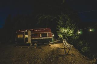 Amanita Wild Camper - 4