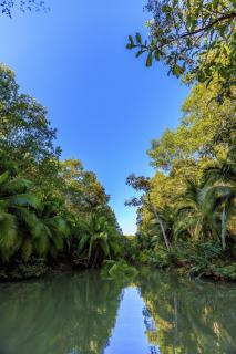 Cozy getaway w/pool-tennis-bbq near Manuel Antonio - 4