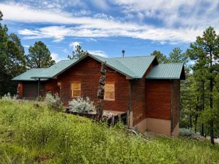 Peaceful Redwood Retreat Cabin with Hot Tub & Incredible Forest Views - 0