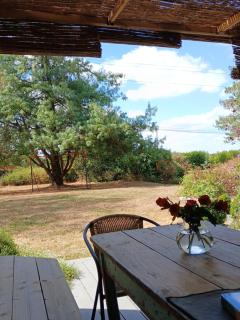 Chambre avec terrasse et salle de bain privative - 1