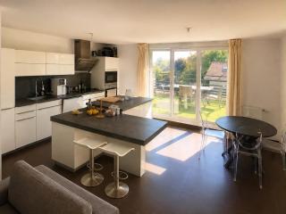 Beautiful 3-bedroom apartment near Geneva & Airport - 3