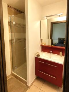 Beautiful 3-bedroom apartment near Geneva & Airport - 2