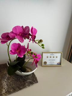 Violet Superior - 3