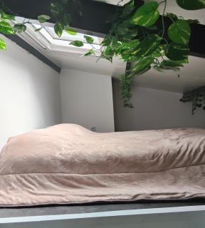Mabel House Suites - 9
