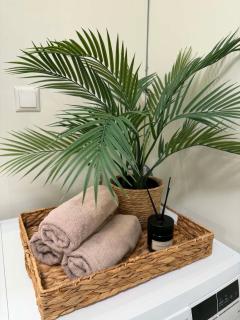 3-room apartment in Tana Bru - 5