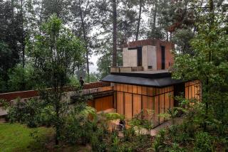 Casa entre los árboles con jacuzzi en Cerro Gordo - 5