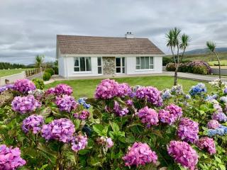 Derryveagh House - 0