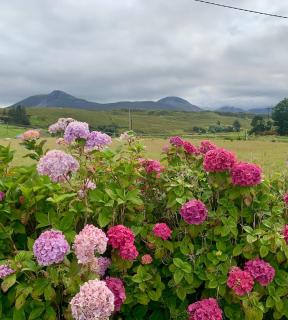 Derryveagh House - 7